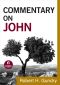 [Commentary on the New Testament 01] • Commentary on John